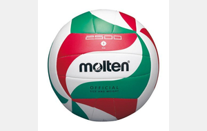 Ballon de volley Molten V5M2500L pour jeune